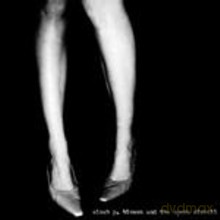 Micah P. Hinson: Micah P. Hinson and the Opera Circuit [CD]
