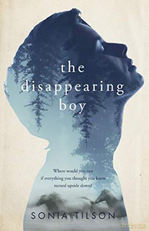 The Disappearing Boy - Sonia Wilson [KSIĄŻKA]
