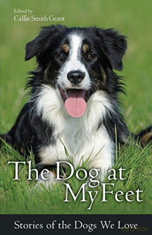 The Dog at My Feet: Stories of the Dogs We Love - Callie Smith Grant [KSIĄŻKA]
