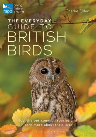 The Everyday Guide to British Birds: Identify our common species and learn more about their lives - Charlie Elder [KSIĄŻKA]