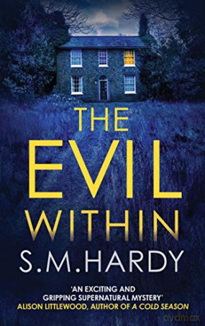 The Evil Within: 1 (Dark Devon Mysteries) - S M Hardy [KSIĄŻKA]