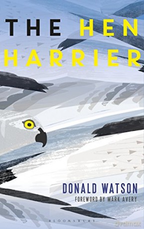 The Hen Harrier - Donald Watson [KSIĄŻKA]