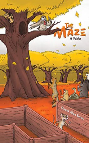 The Maze - David Allan Evans [KSIĄŻKA]