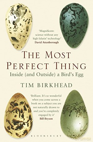 The Most Perfect Thing: Inside (and Outside) a Bird's Egg - Tim Birkhead [KSIĄŻKA]