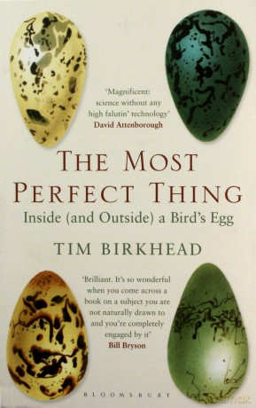 The Most Perfect Thing: Inside (and Outside) a Bird's Egg - Tim Birkhead [KSIĄŻKA]