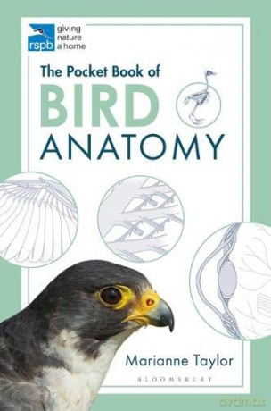 The Pocket Book of Bird Anatomy (RSPB) - Marianne Taylor [KSIĄŻKA]