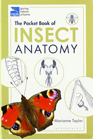 The Pocket Book of Insect Anatomy (RSPB) - Marianne Taylor [KSIĄŻKA]