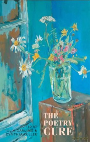 The Poetry Cure (Newcastle/Bloodaxe Poetry) - Julia Darling [KSIĄŻKA]