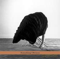 Zakarya: Something Obvious [CD]