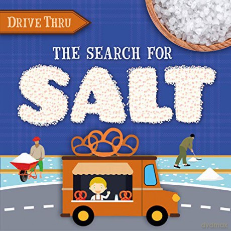 The Search for Salt (Drive Thru) - Shalini Vallepur [KSIĄŻKA]