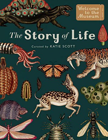 The Story of Life: Evolution (Extended Edition) (Welcome To The Museum) - Ruth Symons [KSIĄŻKA]