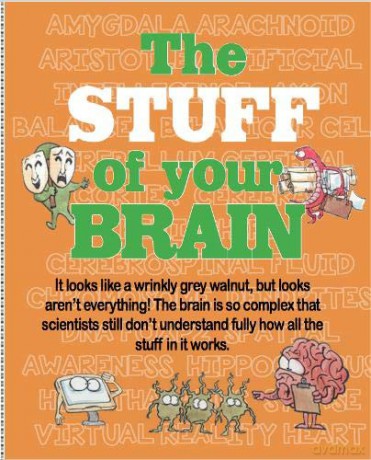 The STUFF of your Brain - Gerry Bailey [KSIĄŻKA]