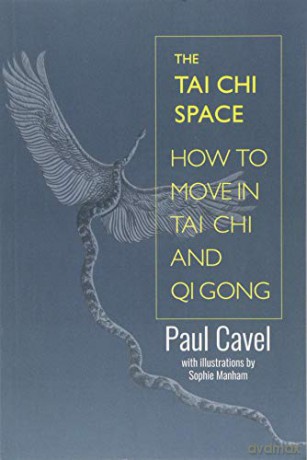 The Tai Chi Space: How to Move in Tai Chi and Qi Gong - Paul Cavel [KSIĄŻKA]