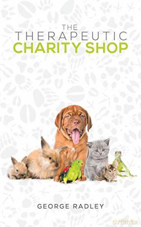 The Therapeutic Charity Shop - George Radley [KSIĄŻKA]