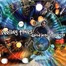 Jean-Baptiste David: Feeling Tones [CD]