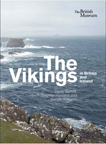 The Vikings in Britain and Ireland - Jayne Carroll [KSIĄŻKA]
