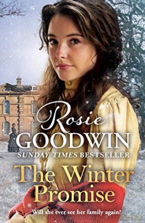 The Winter Promise: From the Sunday Times bestselling author (Precious Stones) - Rosie Goodwin [KSIĄŻKA]