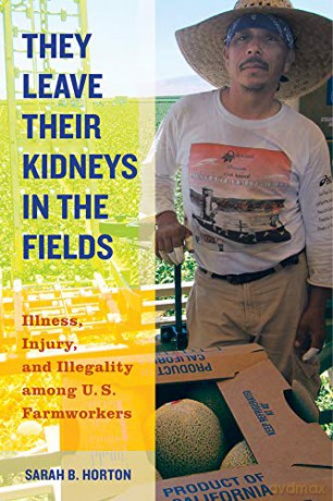 They Leave Their Kidneys in the Fields: Illness, Injury, and Illegality among U.S. Farmworkers (California Series in Public Anthropology): 40 - Sarah Bronwen Horton [KSIĄŻKA]