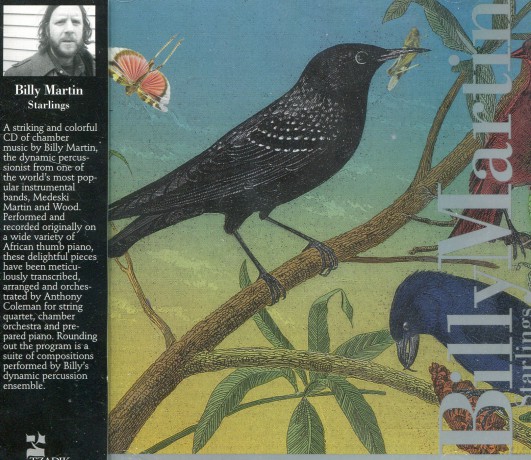 Billy Martin: Starlings [CD]