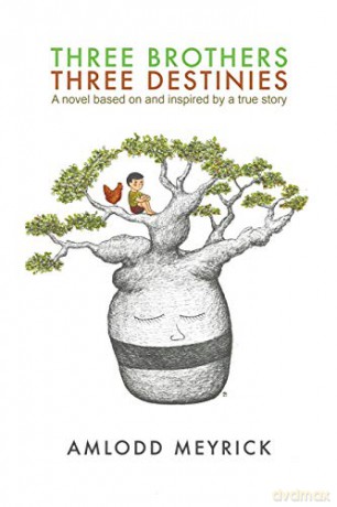 Three Brothers - Three Destinies:A novel based on and inspired by a true story - Amlodd Meyrick [KSIĄŻKA]