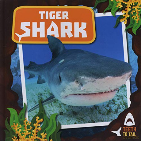 Tiger Shark: Teeth to Tail - Robin Twiddy [KSIĄŻKA]