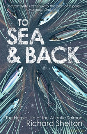 To Sea and Back: The Heroic Life of the Atlantic Salmon - Richard Shelton [KSIĄŻKA]