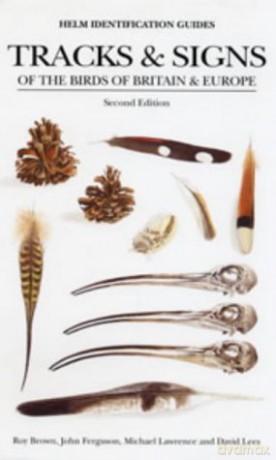 Tracks and Signs of the Birds of Britain and Europe (Helm Identification Guides) - Roy Brown [KSIĄŻKA]