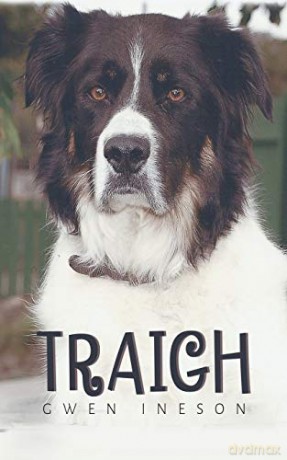 Traigh - Gwen Ineson [KSIĄŻKA]