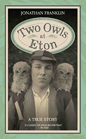 Two Owls at Eton - A True Story - Jonathan Franklin [KSIĄŻKA]