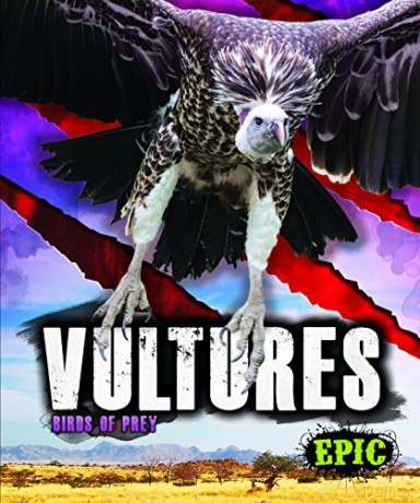 Vultures (Birds of Prey) - Nathan Sommer [KSIĄŻKA]