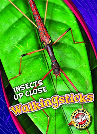 Walkingsticks (Insects Up Close) - Patrick Perish [KSIĄŻKA]