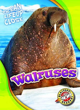 Walruses (Ocean Life Up Close) - Kari Schuetz [KSIĄŻKA]