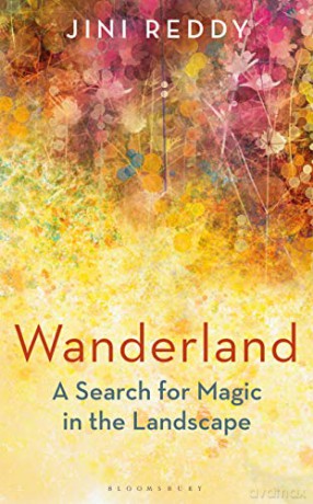 Wanderland: SHORTLISTED FOR THE WAINWRIGHT PRIZE - Jini Reddy [KSIĄŻKA]
