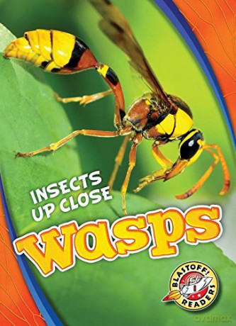 Wasps (Insects Up Close) - Patrick Perish [KSIĄŻKA]