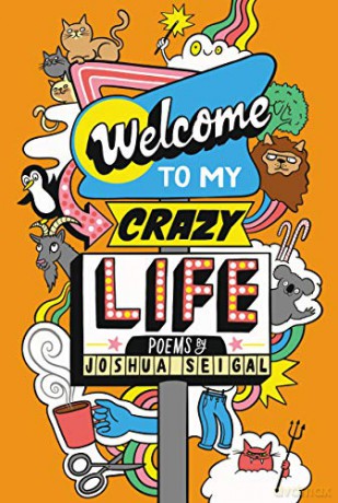 Welcome to My Crazy Life - Joshua Seigal [KSIĄŻKA]
