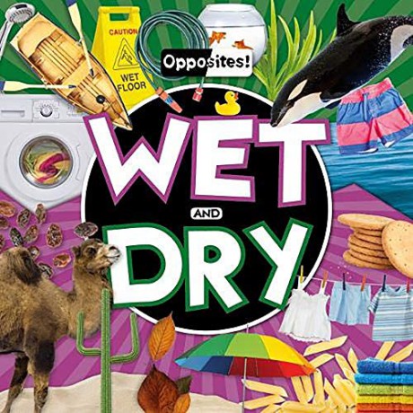 Wet and Dry (Opposites!) - Emilie Dufresne [KSIĄŻKA]