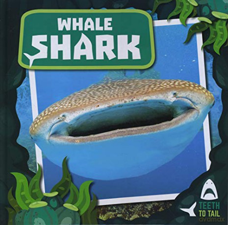 Whale Shark: Teeth to Tail - Robin Twiddy [KSIĄŻKA]