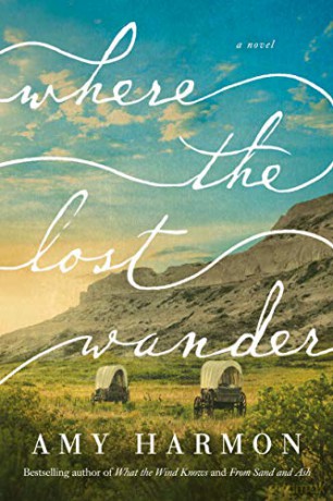Where the Lost Wander: A Novel - Amy Harmon [KSIĄŻKA]