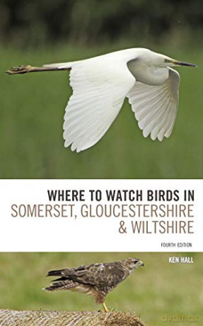 Where To Watch Birds in Somerset, Gloucestershire and Wiltshire - Ken Hall [KSIĄŻKA]