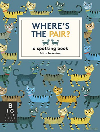 Where's the Pair: A Spotting Book (Big Picture Press) [KSIĄŻKA]