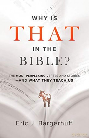 Why Is That in the Bible: The Most Perplexing Verses and Stories--And What They Teach Us - Bargerhuff [KSIĄŻKA]