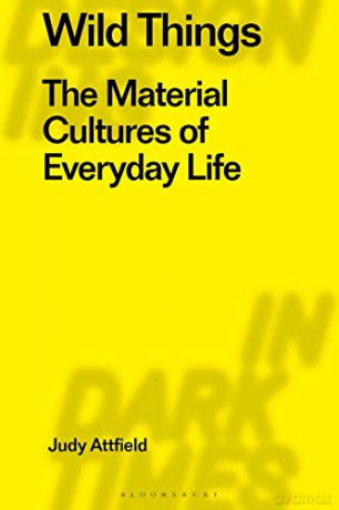 Wild Things: The Material Culture of Everyday Life (Radical Thinking in Design) (Radical Thinkers in Design) - Nathan MacDonald, Matthew A. Collins Andrew Mein [KSIĄŻKA]