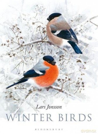 Winter Birds - Lars Jonsson [KSIĄŻKA]
