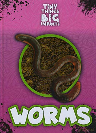 Worms (Tiny Things, Big Impacts) - John Wood [KSIĄŻKA]