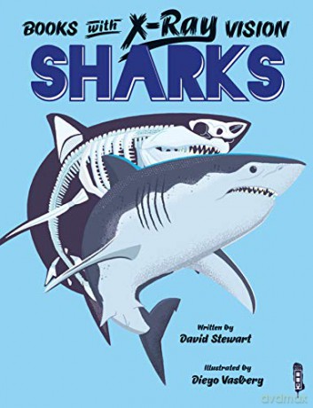X-Ray Vision: Sharks (Books With X-Ray Vision) - Diego Vaisberg [KSIĄŻKA]