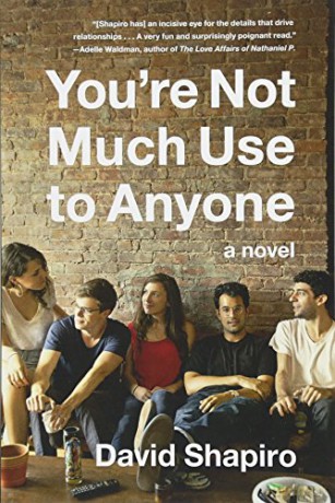 You're Not Much Use to Anyone: A Novel - David Shapiro [KSIĄŻKA]