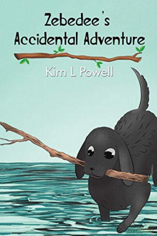 Zebedee's Accidental Adventure - Kim L Powell [KSIĄŻKA]