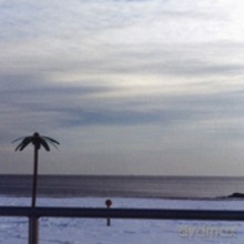 Axel Dörner, Leonel Kaplan, Diego Chamy: Absence [CD]