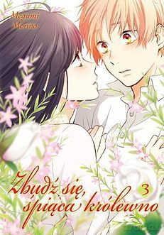 Zbudź się śpiąca królewno (Tom 3) - Megumi Morino [KOMIKS]