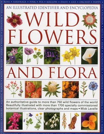 An Illustrated Identifier and Encyclopedia: Wild Flowers and Flora - Mick Lavelle [KSIĄŻKA]